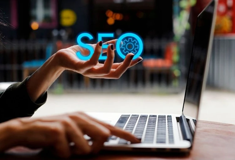 Özalp Web Site Tasarımcı